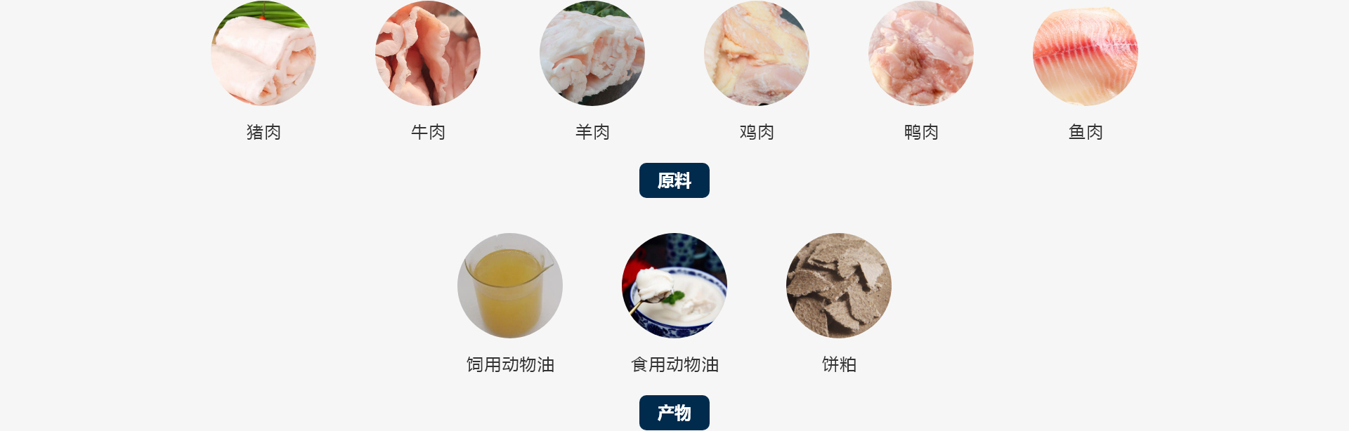 小型動(dòng)物油煉油設(shè)備