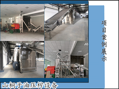黃金樹”榨出“黃金油”，河南國瑞新一代山桐子油壓榨設(shè)備實現(xiàn)行業(yè)創(chuàng)舉！