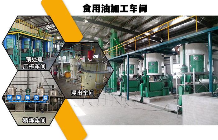 開一個大型食用油加工廠需要用到哪些設備?