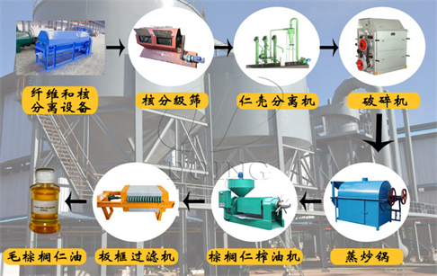自動化棕櫚仁油生產線包含哪些設備?各設備的作用是什么?