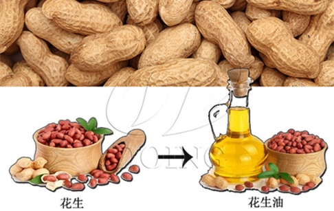 壓榨花生油需要精煉嗎？壓榨油好還是精煉油好？