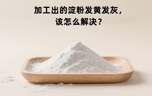 加工出的紅薯淀粉發(fā)黃、發(fā)灰？該怎么解決？