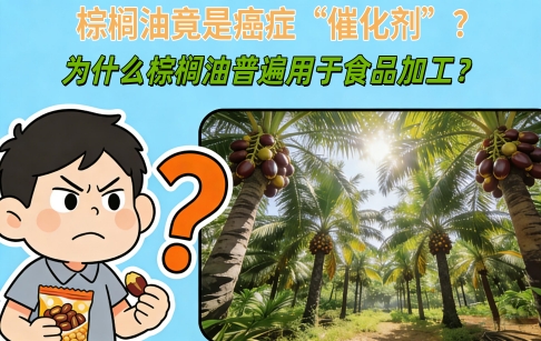 棕櫚油竟是癌癥“催化劑”？為什么棕櫚油普遍用于食品加工？