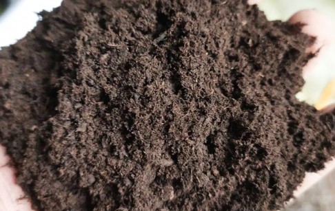炭化出來的木炭粉如何深加工？三大方向提升產(chǎn)品附加值