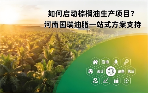 如何啟動棕櫚油生產(chǎn)項目？河南國瑞油脂一站式方案支持